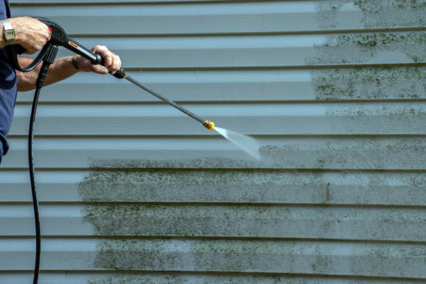 Professional Pressure Washing in Huntington, VA